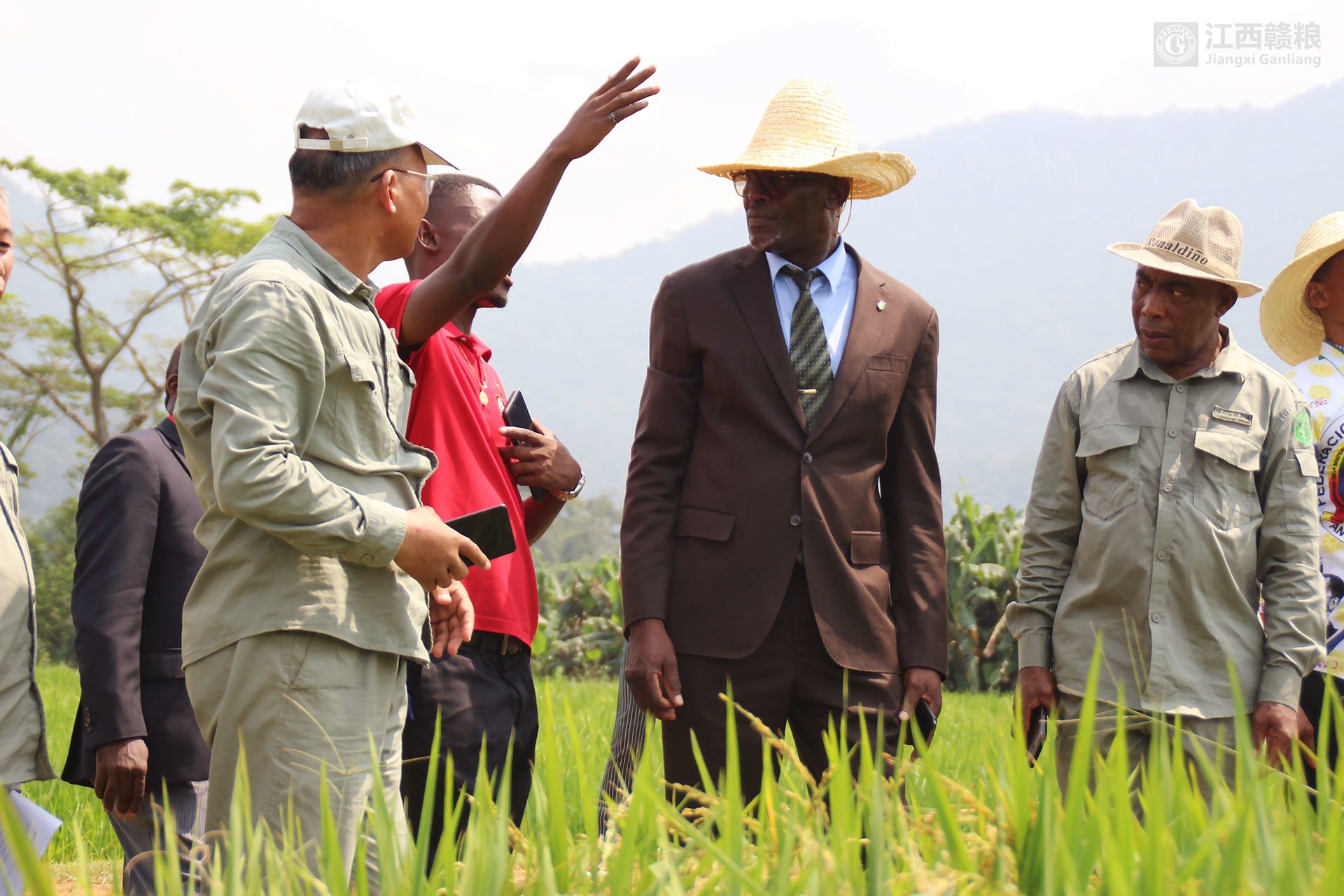 赤道几内亚农业、畜牧、森林和环境部部长阿卡波到示范农场慰问